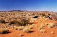 Kalahari Red Dune
