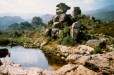 Beaverlac (Berg River Western Cape)