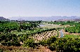 Breede River (Breede River Western Cape)