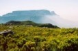 Constantia Mountain