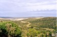 Veld (Eastern Cape)