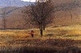 Elands Valley (Uthukela KZN)