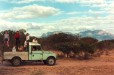 Game viewing