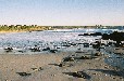 Ganzekraal (Swartland Western Cape)