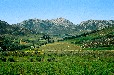 Langkloof
