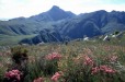 Marloth Mountains