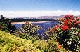 Steenbras Dam