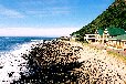 Victoria Bay (George Western Cape)
