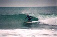 Surfer