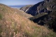 Walker Bay