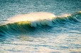 West Coast Wave (Cederberg Western Cape)