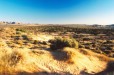 Witsand Nature Reserve